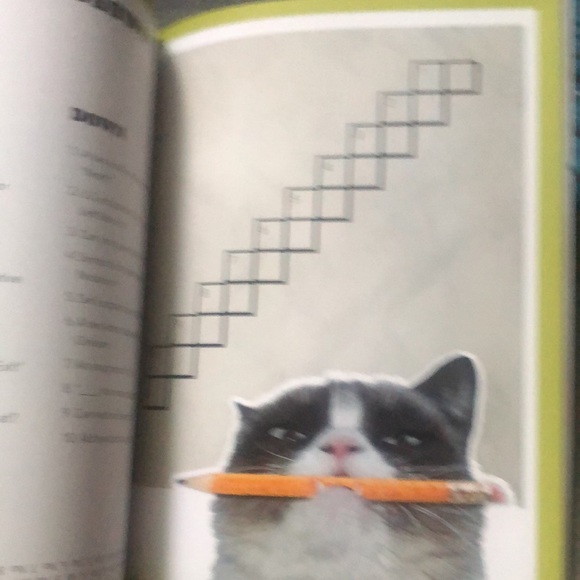 Grumpy cat book: a grumpy book mbr - Picture 6 of 8